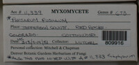 Image Associated With the Occurence